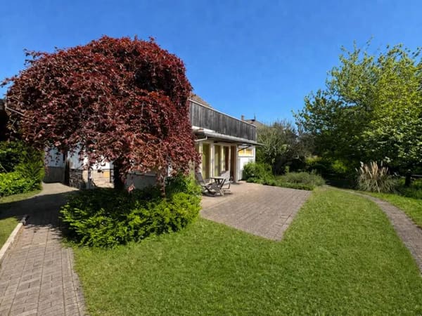 Immobilie in Geisenheim - Solide Anlage-Immobilie im Rheingau - Bild 2
