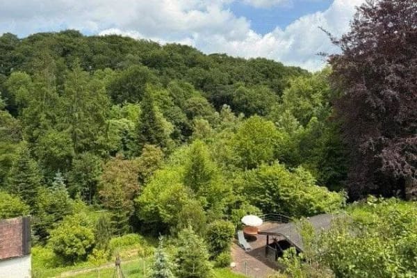 Immobilie in Heiligenhaus - Baugrundstück mit eigenem Wald und Bach! - Bild 1