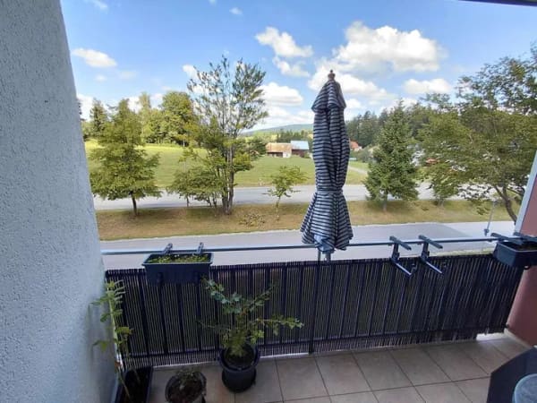 Immobilie in Neureichenau - " ZWEI APARTMENTS STILVOLL VEREINT ZU EINEM BESONDEREN ZUHAUSE " - Bild 4