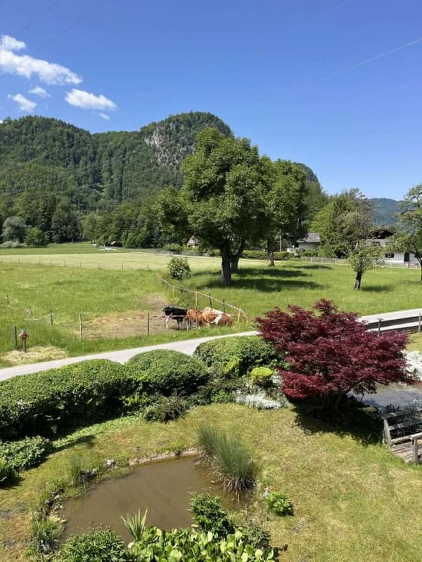 Immobilie in Kochel am See - unmittelbare Seelage! Vermietetes Wohnhaus in Süd-Lage - Bild 1