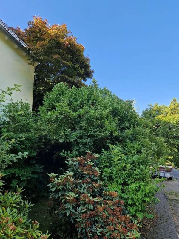 Immobilie in Johannesberg - Liebevoll gestaltete Immobilie mit höchstem Wohnkomfort und Traumgarten in idyllischer Umgebung - Bild 3