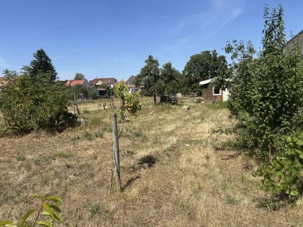 Immobilie in Niederkirchen bei Deidesheim - Zuhause mit viel Platz in Niederkirchen bei Deidesheim.  - Bild 3