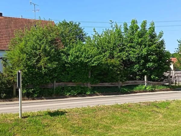 Immobilie in Walkertshofen - Haus am Dorfrande - Bild 0