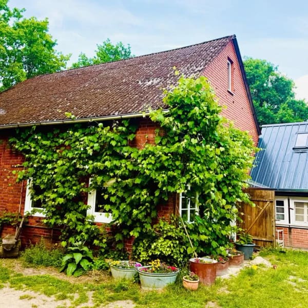 Immobilie in Langendorf - Wunderschöner sanierter Bauernhof Resthof mit viel Ausbaureserve - Bild 0