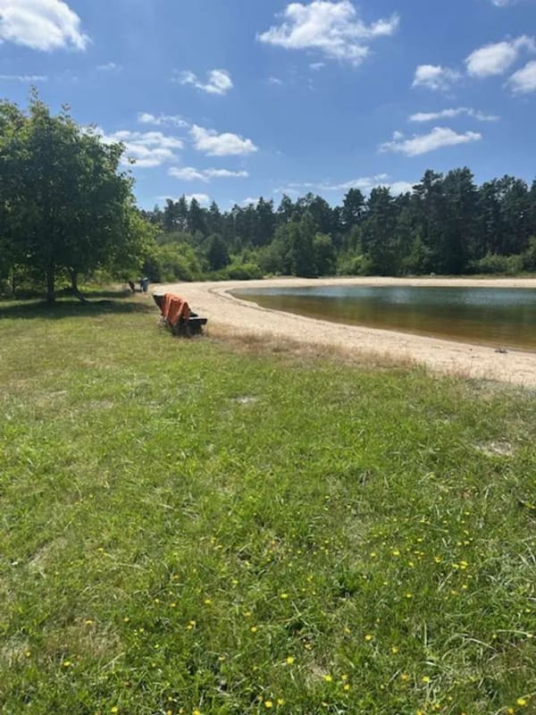 Immobilie in Wesendorf - Wohnen wo andere Urlaub machen - Romantisches Ferienhaus in idyllischer Waldlage am See - Bild 1
