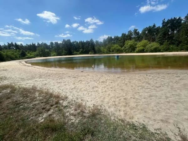 Immobilie in Wesendorf - Wohnen wo andere Urlaub machen - Romantisches Ferienhaus in idyllischer Waldlage am See - Bild 4