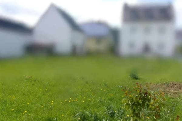 Immobilie in Herschbach - Inkl. wunderschönem Baugrundstück*Förderfähiges Haus - Bild 1