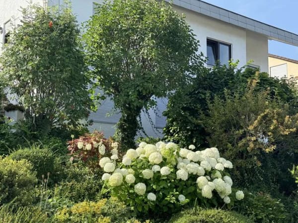 Immobilie in Dettingen an der Erms - Großzügige 3-Zimmer-Dach-Wohnung mit herrlicher Aussicht plus Büro/1-Zi-App. im EG in Dettingen/Erms - Bild 1