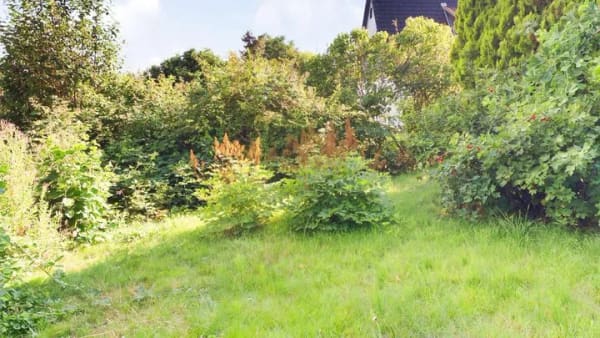 Immobilie in Schwentinental - Einfamilienhaus mit Potential - Bild 4