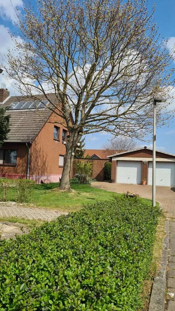 Immobilie in Giesen - 2 Familienhaus in super begehrter Feldrandlage in einer Sackgasse - Bild 4