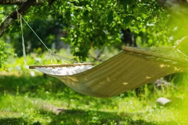 Immobilie in Schleusegrund - Familienidylle im eigenen Sonnengarten - Bild 1