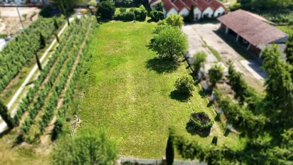 Immobilie in Friedelsheim - Ein Anwesen mit Charakter – großzügiges Hofanwesen mit traumhaftem Grundstück - Bild 3
