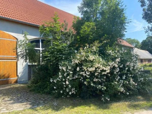 Immobilie in Groß Polzin - Provisionsfrei* Scheune mit Wohnteil - Bild 0