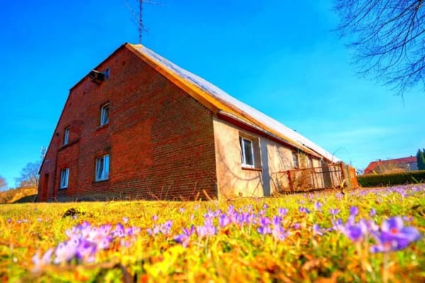 Immobilie in Göhren-Lebbin - Bauernhaus in Poppentin (Göhren-Lebbin) - Bild 3