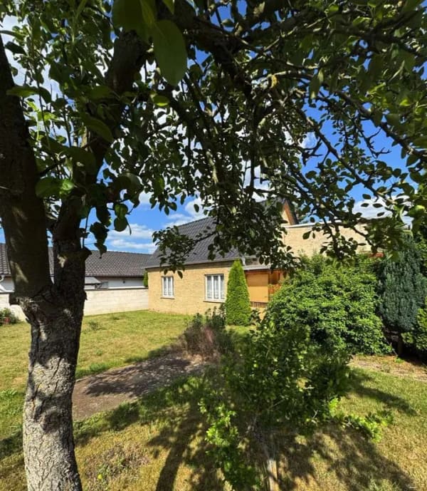 Immobilie in Colbitz - Natur pur. Ein Zuhause mit Zukunftspotential. - Bild 3