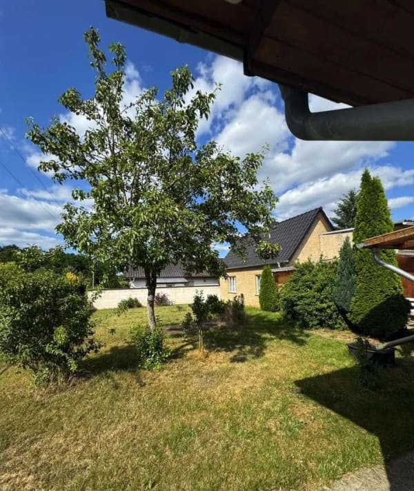 Immobilie in Colbitz - Natur pur. Ein Zuhause mit Zukunftspotential. - Bild 4