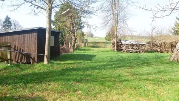 Immobilie in Falkenstein/Vogtland - Wohnen mit Charakter: Großzügiges Einfamilienhaus in Falkenstein - Bild 3