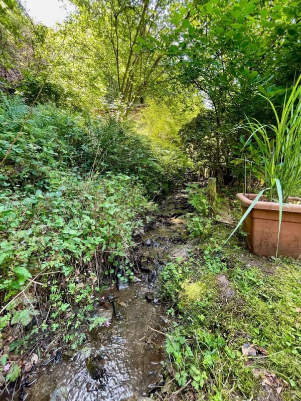 Immobilie in Schweighausen - Romantisches Mühlenanwesen am Bach mit Atelier und Scheune, eigenes Waldgrundstück in idyllischer Lage zwischen Schweighausen und Nassau - Bild 3