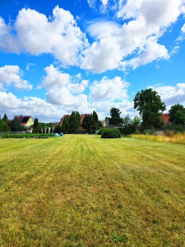 Immobilie in Osternienburger Land - Bis zum Horizont - Schickes Einfamilienhaus mit weitläufigem Grundstück - Bild 3