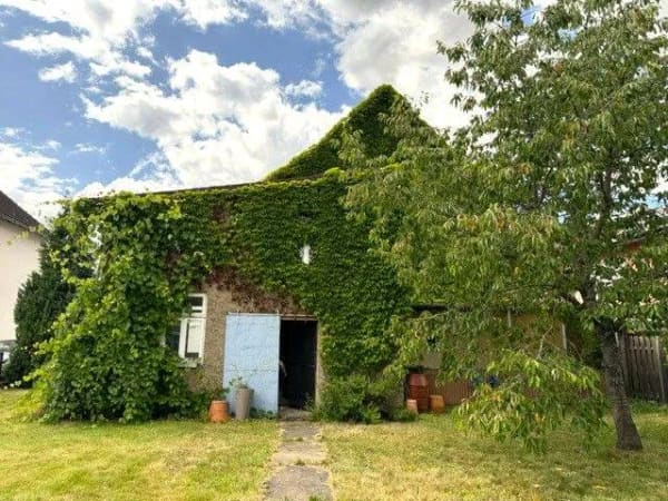 Immobilie in Wulften am Harz - Mehr als nur ein Einfamilienhaus – viel Platz zum Wohnen, Arbeiten und Leben - Bild 3