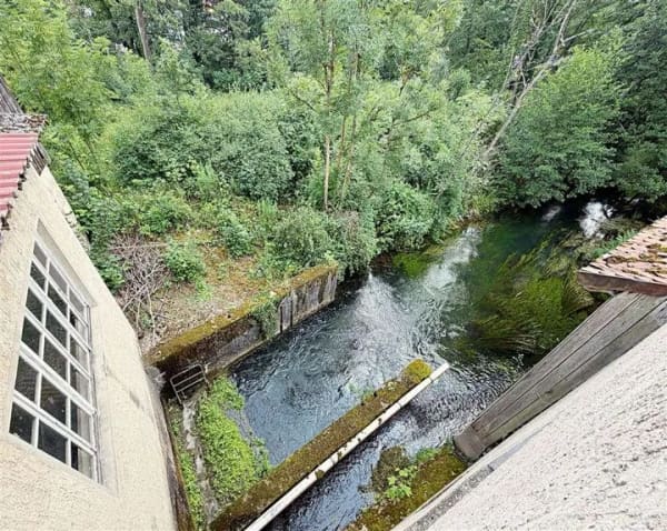 Immobilie in Beratzhausen - Einzigartiges Ensemble! Ehemaliges Mühlenanwesen mit aktivem Wasserkraftwerk in Beratzhausen  - Bild 1