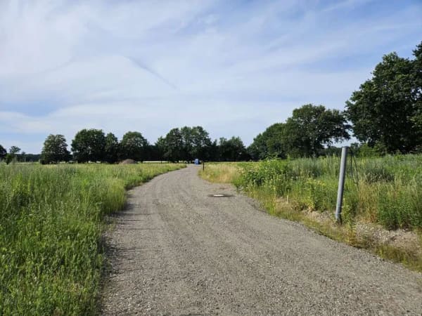 Immobilie in Häuslingen - Mit Grundstück, Familienleben auf einer Ebene in Häuslingen. - Bild 2