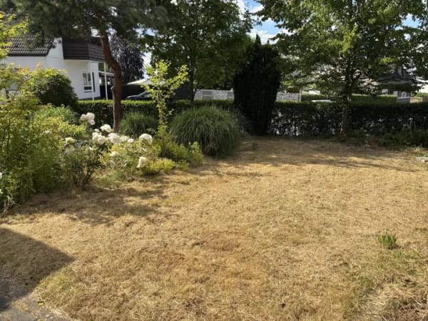 Immobilie in Spenge - Familienidyll mit Potenzial: Einfamilienhaus - Bild 0