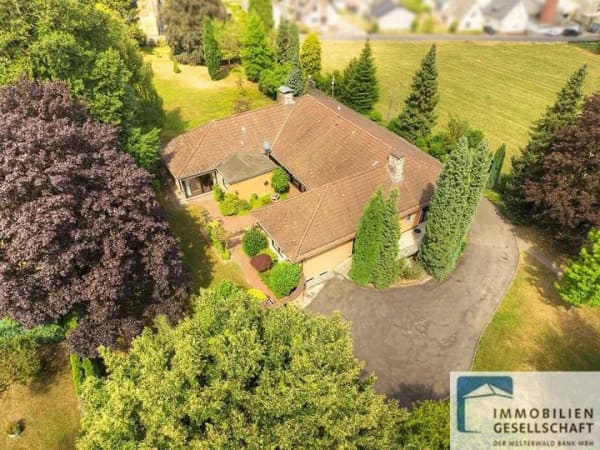 Immobilie in Ransbach-Baumbach - Repräsentatives Unternehmeranwesen im Bungalowstil mit großem Grundstück - Bild 0