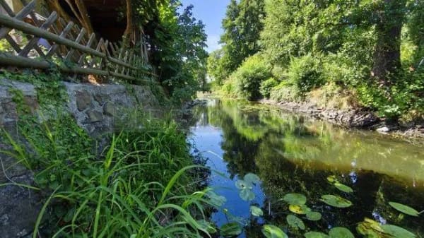 Immobilie in Thallwitz - Historische Landvilla mit drei Wohneinheiten direkt an der Lossa - Bild 0