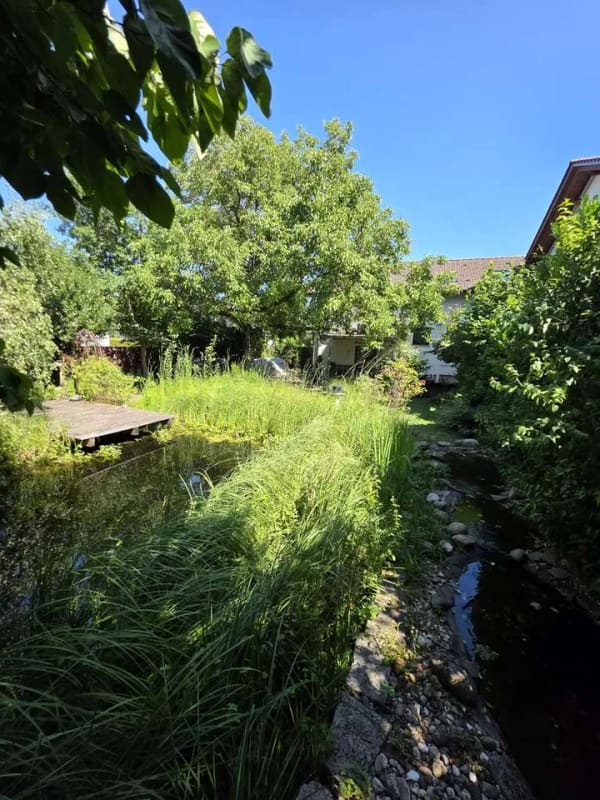 Immobilie in Iffezheim - +++ großes 1-FH mit riesigen bebaubaren Grundstück + großer Garten + ruhige Lage von Iffezheim +++ - Bild 2