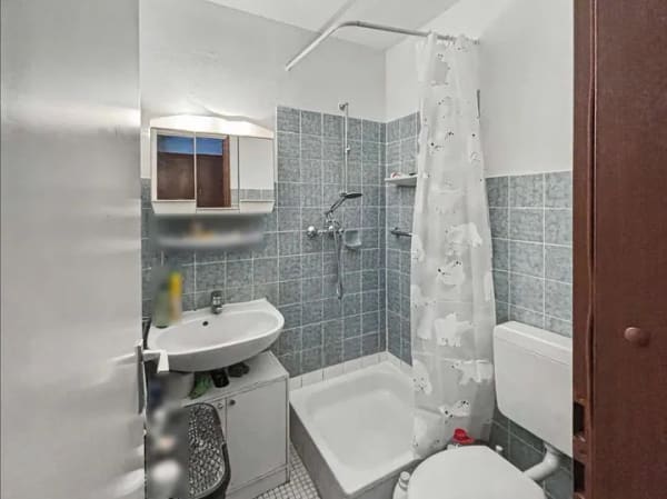 Immobilie in Neuhofen - Vermietete 1-Zimmer-Eigentumswohnung in Neuhofen - Bild 4
