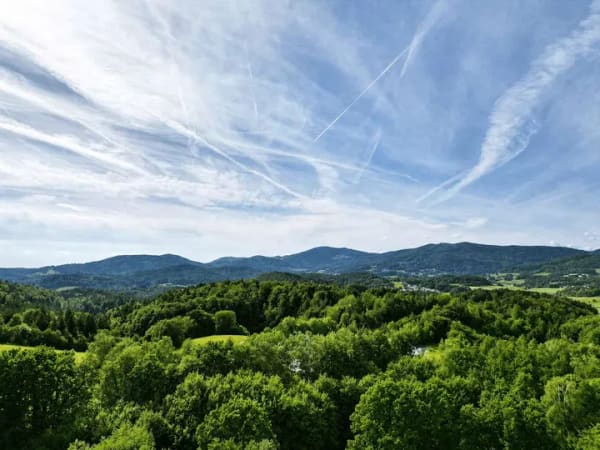 Immobilie in Thurmansbang - Ihr Rückzugsort mit Garten, Weitblick und Herz - Bild 1