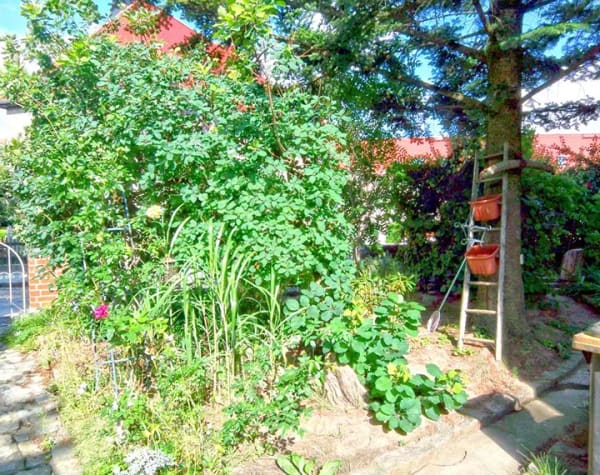 Immobilie in Bautzen - Budyšin - Teilmodernisiertes Reihenendhaus mit Terrasse in ruhiger Wohnlage in Bautzen - Bild 2