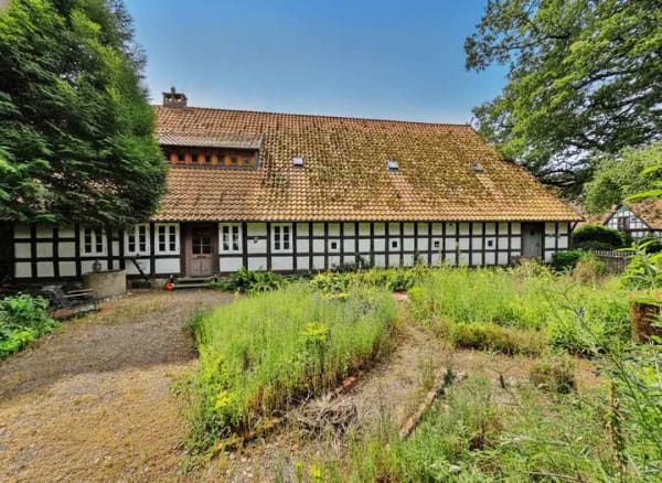 Immobilie in Diepenau - Historisches Landhaus mit Charme, Großzügigkeit und herrlichem Gartenerlebnis - Diepenau - Bild 2