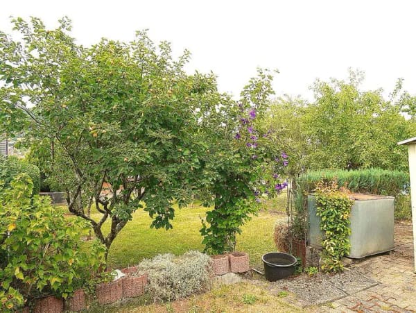 Immobilie in Blumberg - *** Gemütliches Siedlungshaus mit pflegeleichtem Garten in Blumberg! *** - Bild 4