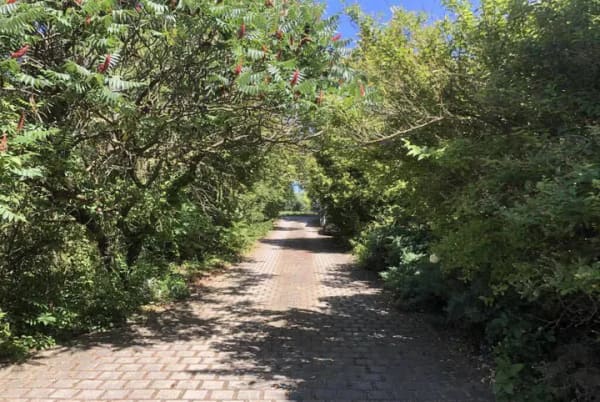 Immobilie in Gerbstedt - Mansfeld-Südharz OT Gerbstedt: Einfamilienhaus auf großem Grundstück, Pool - Bild 3