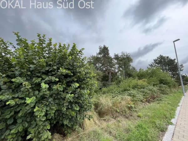 Immobilie in Pfofeld - ANTIKE TRIFFT AUF MODERNE - Bild 1