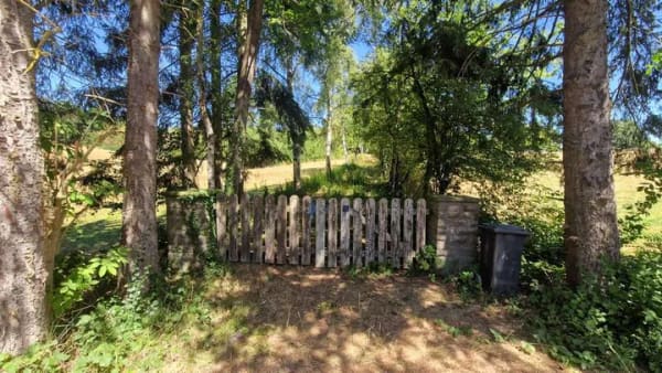 Immobilie in Nettersheim - Ankommen. Abschalten. Aufatmen. Ihr Waldhaus in der Eifel. - Bild 1