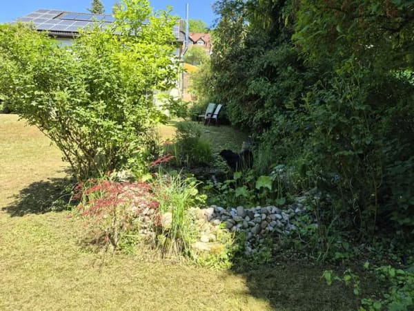 Immobilie in Weißbach - Freistehendes Einfamilienhaus mit Einliegerwohnung und großem Garten - Bild 4