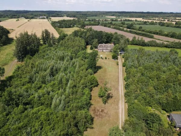 Immobilie in Enge-Sande - Charaktervolles Reetdachhaus mit über 17.000 qm Land in Enge-Sande (Schardebüll) - Bild 4