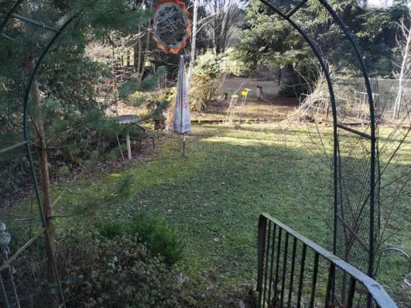 Immobilie in Biberbach - Abkühlung im Grünen: Traumhaftes Waldgrundstück & Wohlfühloase (Wochenendhaus/Freizeitgrundstück) - Bild 3