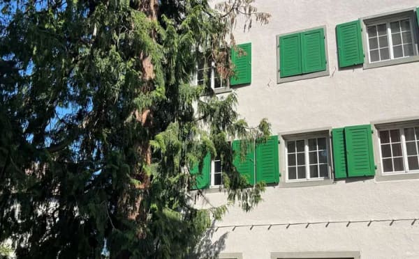 Immobilie in Meersburg - "Adlerhorst mit Seesicht..." - Bild 2