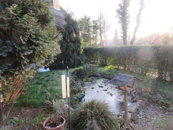 Immobilie in Neuss - EFH mit kleinem Garten in Neuss - Speck - Bild 2