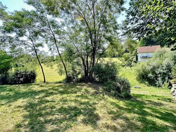 Immobilie in Wörth an der Donau - Ein Haus, zwei Wohnungen, unzählige Möglichkeiten - Bild 4