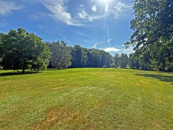 Immobilie in Vellahn - Großes Anwesen (über 40.000 qm) mit Wohnhaus, Nebengebäude, Bauland, Acker und Waldfläche ! - Bild 4