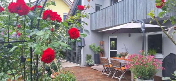 Immobilie in Hofstetten - Ein Zuhause zum Wohlfühlen – ruhig, sonnig und mitten im Grünen - Bild 0