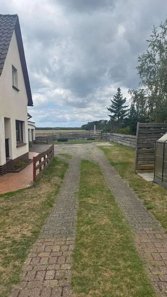 Immobilie in Sassenburg - Gepflegtes Ein/Zwei Familienhaus in Grußendorf - Bild 4