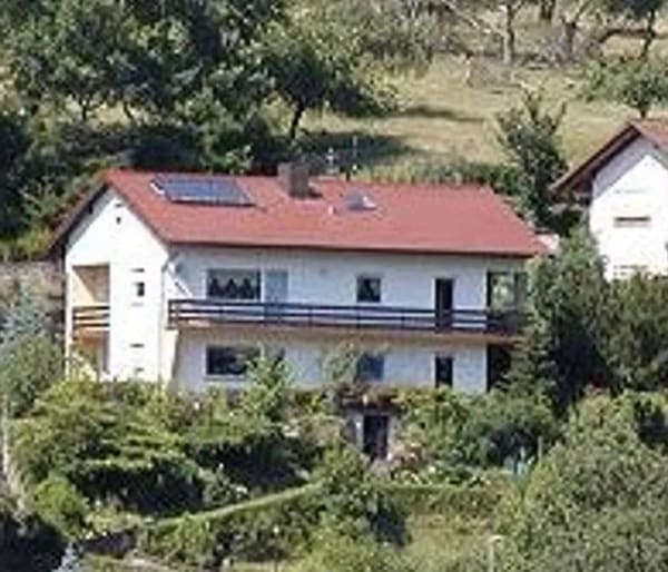 Immobilie in Weidenthal - Zweifamilienhaus  in sonniger Lage und toller Aussicht - Bild 0