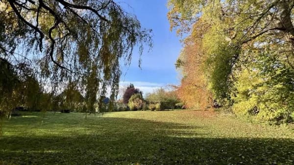 Immobilie in Brodersby-Goltoft - Brodersby: Wohnhaus mit Option auf Baugrundstück - Bild 2
