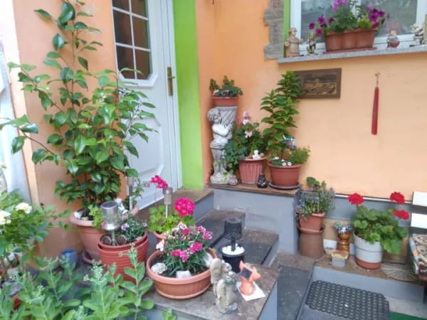 Immobilie in Mücheln (Geiseltal) - Einfamilienhaus freistehend in Mücheln (Geiseltal) - Bild 2